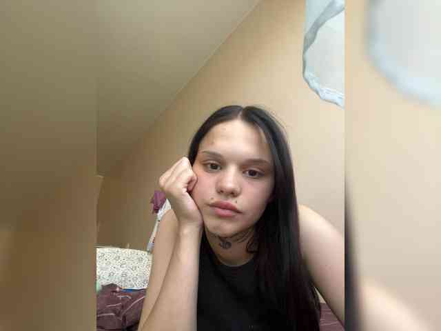 Sasa-2295 webcam