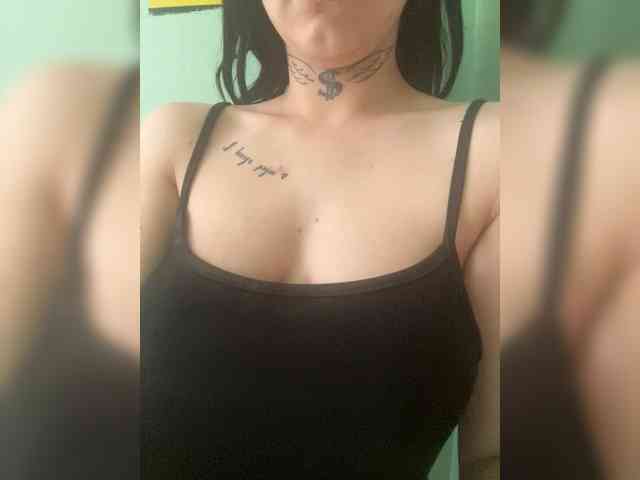 Sasa-23 webcam