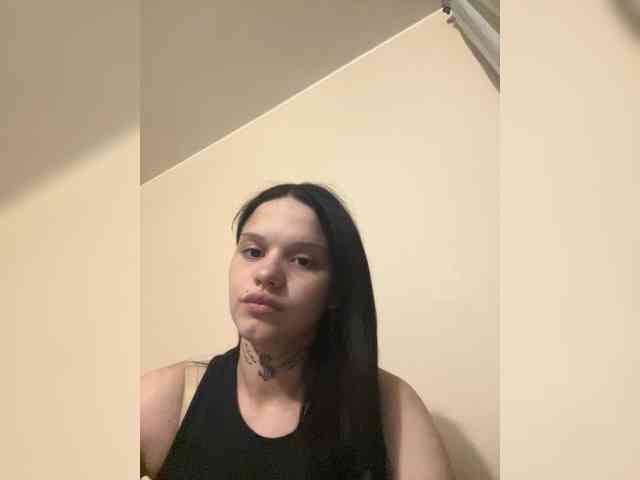 Sasa-2295 webcam