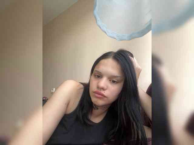 Sasa-2295 webcam