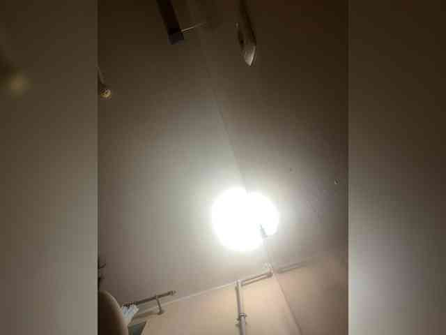 Sasa-2295 webcam
