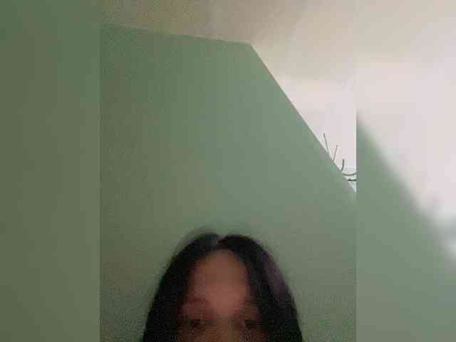 Sasa-23 webcam