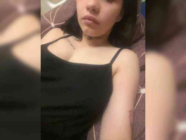 Sasa-2295 webcam