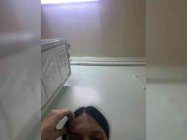 Sasa-2295 webcam