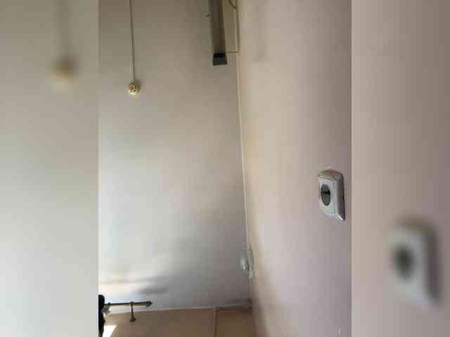 Sasa-2295 webcam