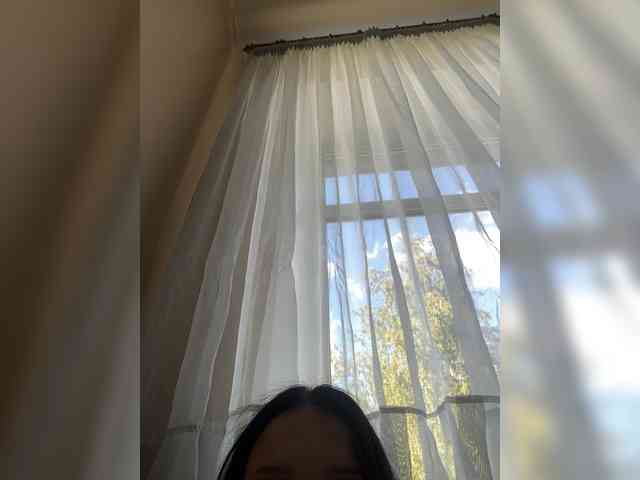Sasa-2295 webcam