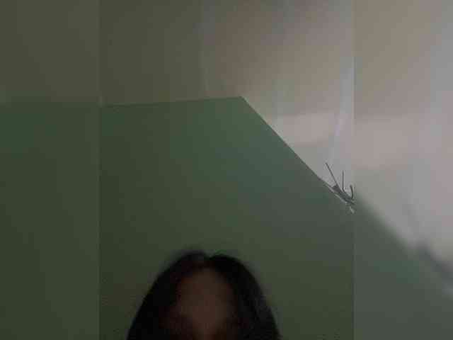 Sasa-23 webcam