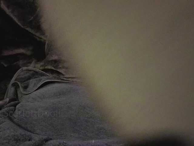 ScarlettDoll live cam on BongaCams