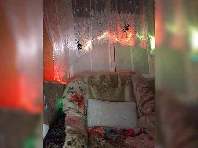 Svet22-1's webcam live show