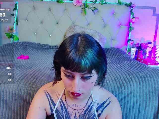 elektrarosse webcam