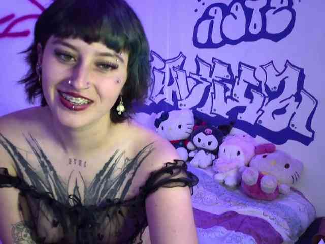 elektrarosse webcam