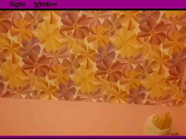 JeniceBoback webcam