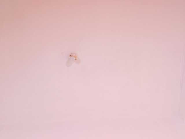 HannaBleish live cam on BongaCams