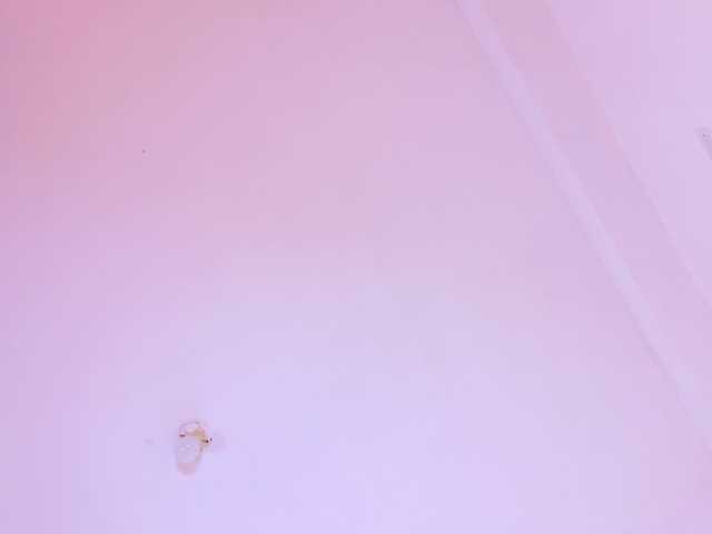 HannaBleish live cam on BongaCams