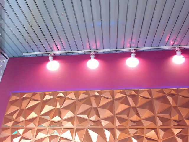 MaddieandMath live cam