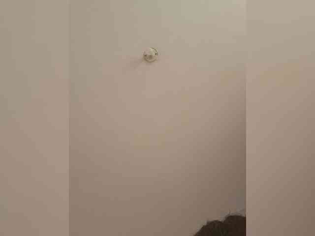 HannaFischer webcam