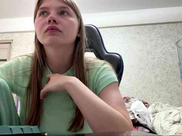 Lizalizar webcam