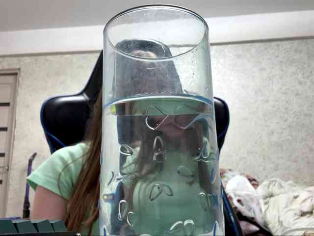 Lizalizar webcam