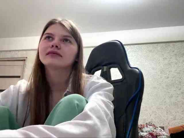 Lizalizar webcam