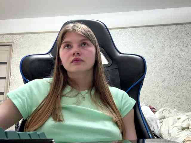Lizalizar webcam