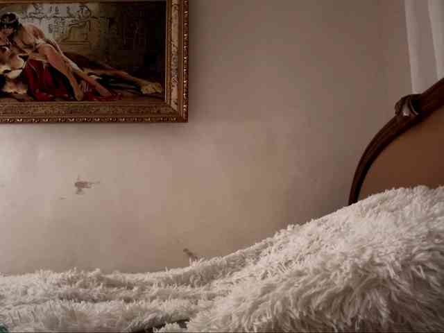Fallenprincess webcam