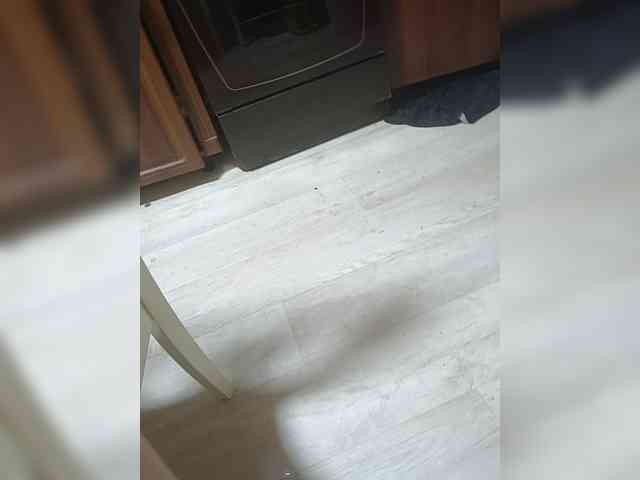 Laura35 webcam