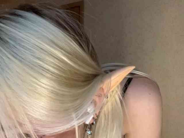 Model: NorikoFalis