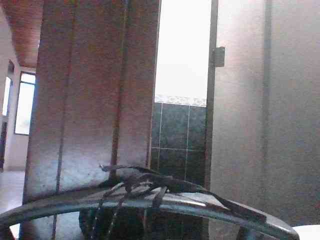 suley1 webcam