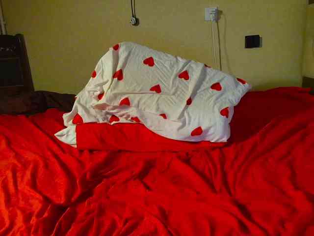 Ve1ourA webcam