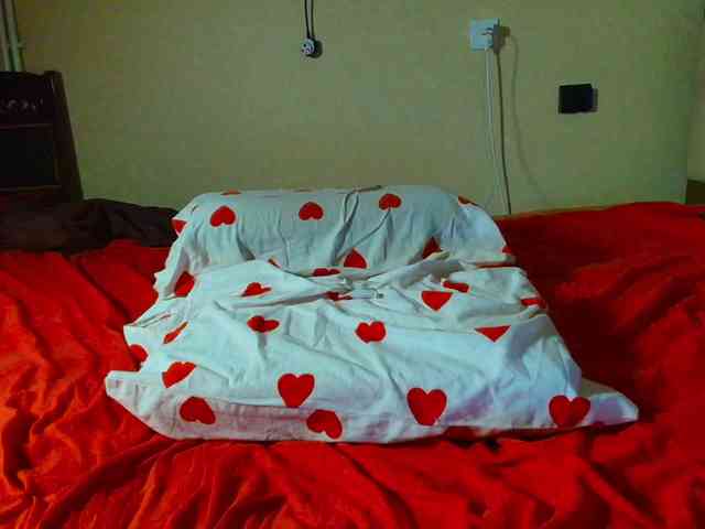 Ve1ourA webcam