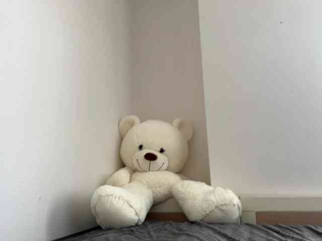 EvaKittys EvaKittys
