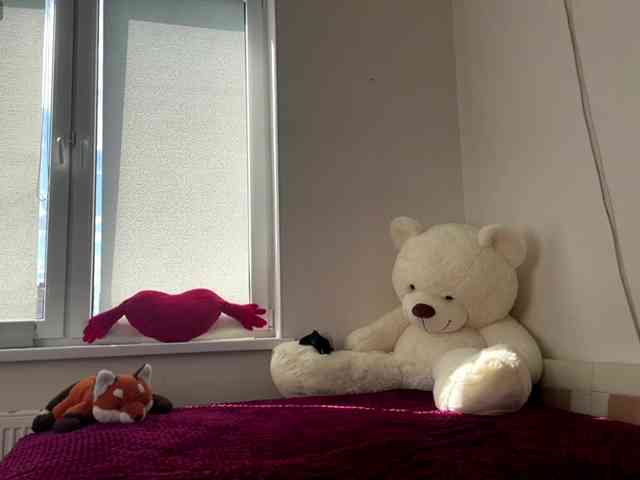 EvaKittys webcam