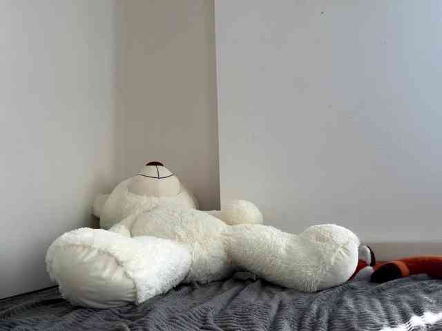 EvaKittys webcam