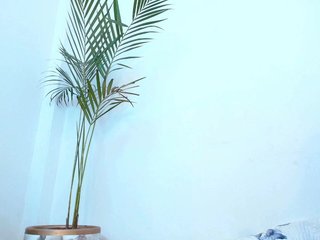 Catalina_16