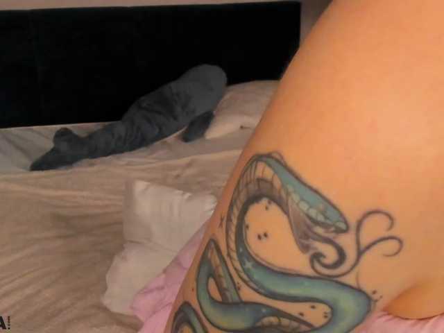 Velvet-Flame, live now on BongaCams
