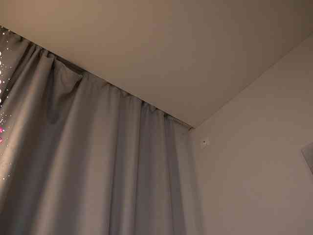 miacelestiall webcam