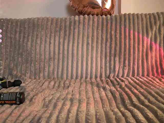 miacelestiall webcam