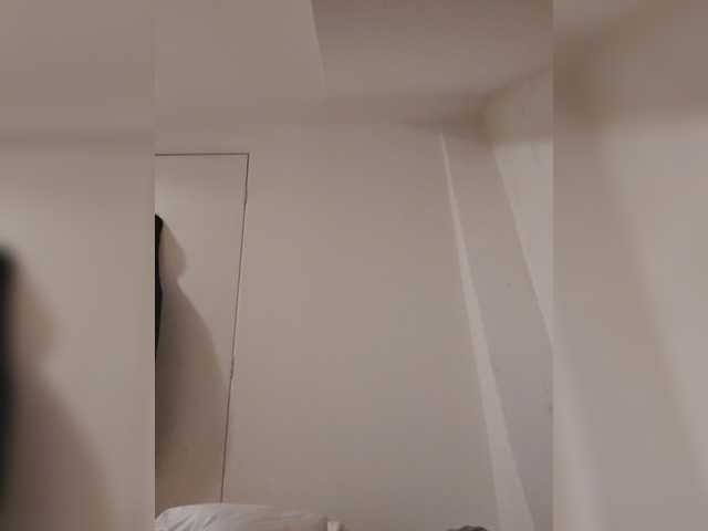 Sier13