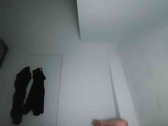 Sier13