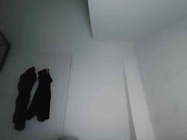 Sier13