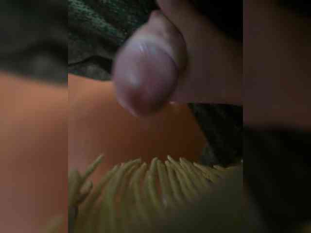 Sneik1991a
