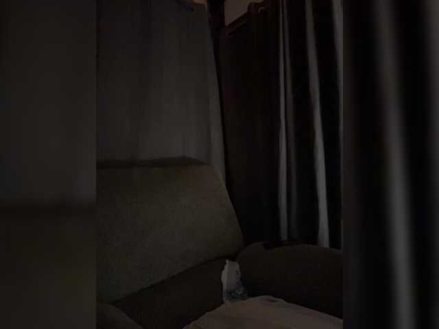 Sillydillynewf