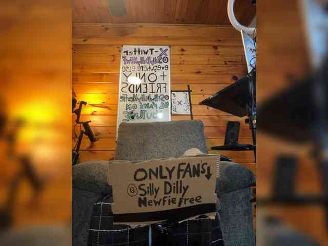 sillydillynewf sillydillynewf