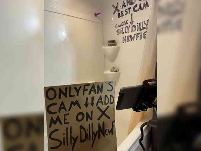 sillydillynewf