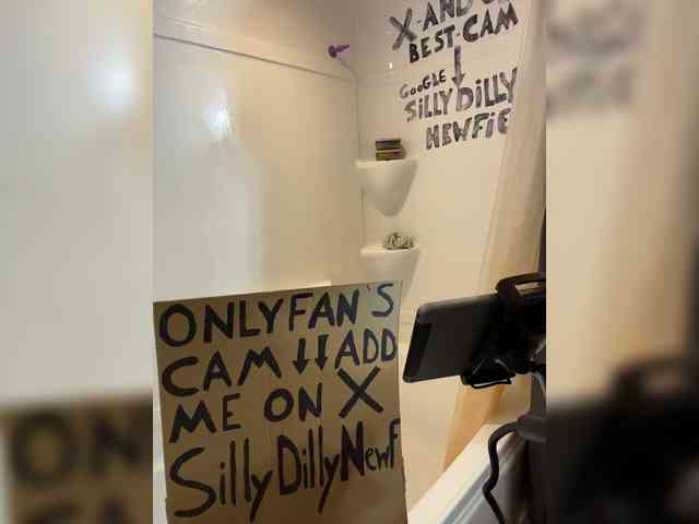 sillydillynewf