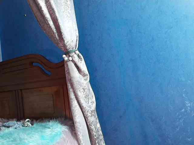 sikoval webcam