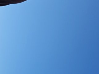 BonnieandClydeForever Porn Show