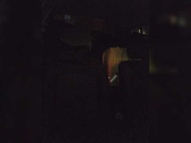 Bonnieandclydeforever live cam
