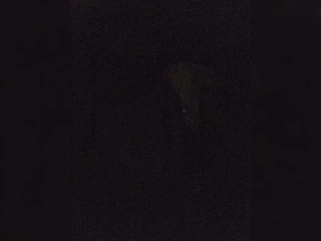 BonnieandClydeForever live cam preview