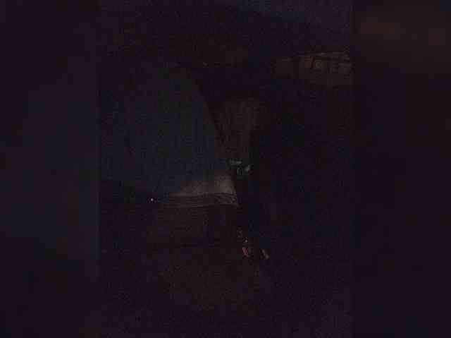 BonnieandClydeForever webcam